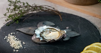 Huître - L'Antilope 1858 sur une assiette