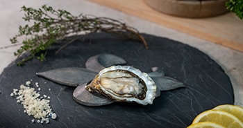 Huître - Fine de Normandie sur une assiette