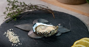 Huître - Henry IV sur une assiette